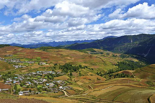 13:30 彝族村,哈巴雪山觀景臺(約10分鐘) 