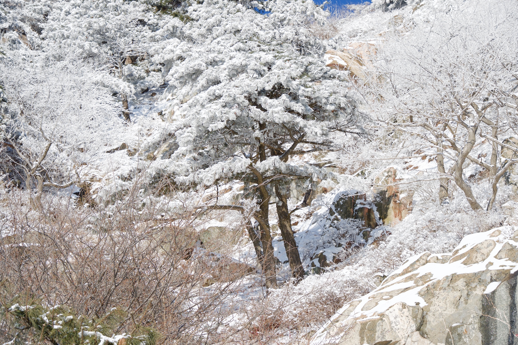 泰山自助遊攻略