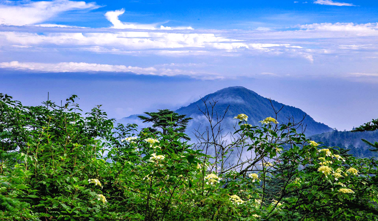 峨眉山休閒養生避暑純玩5日遊自由行(住峨眉山半山,贈送冰絲涼蓆,峨眉