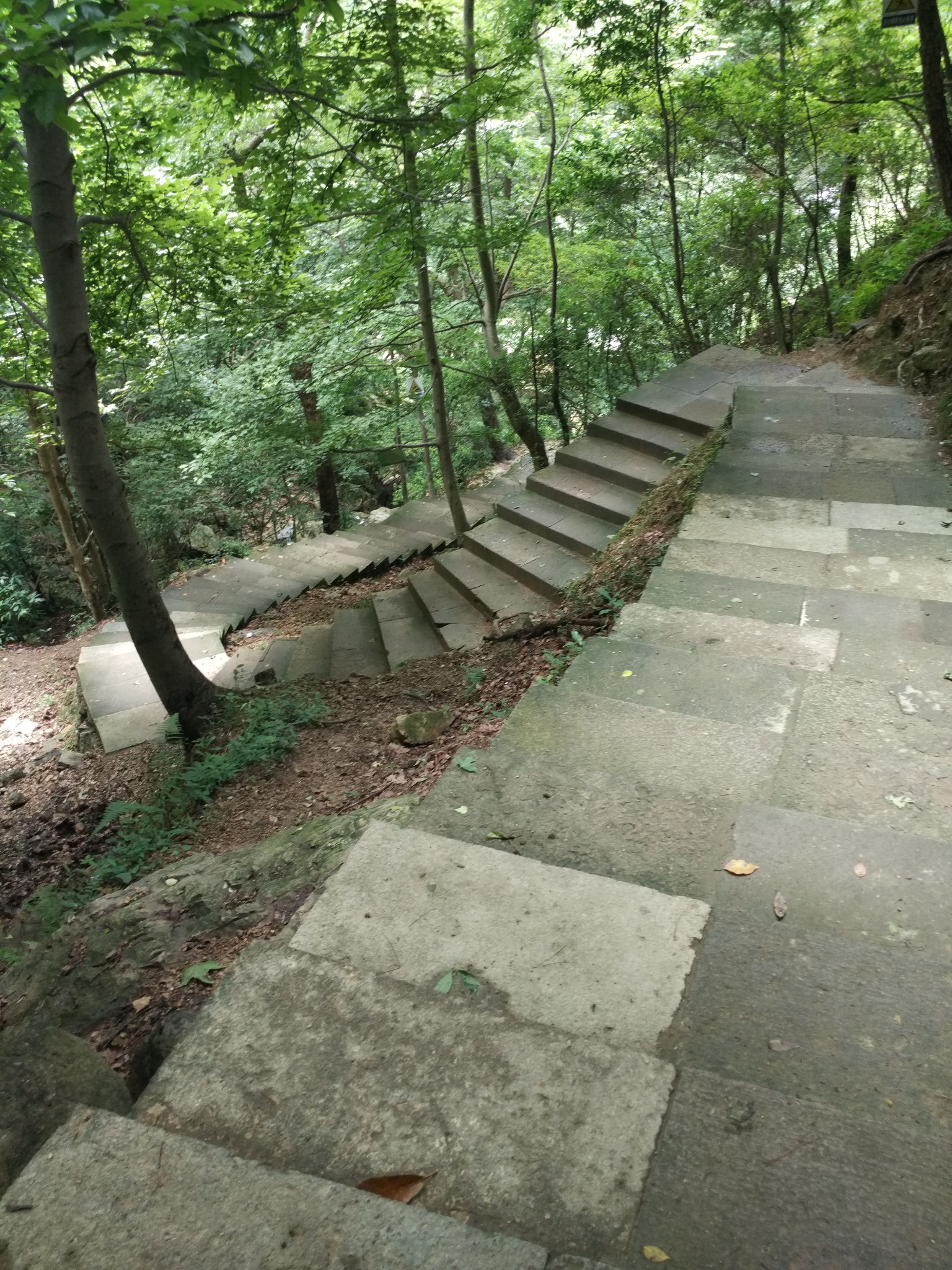 回覆遊記:無心插柳——遊台州黃岩九峰公園