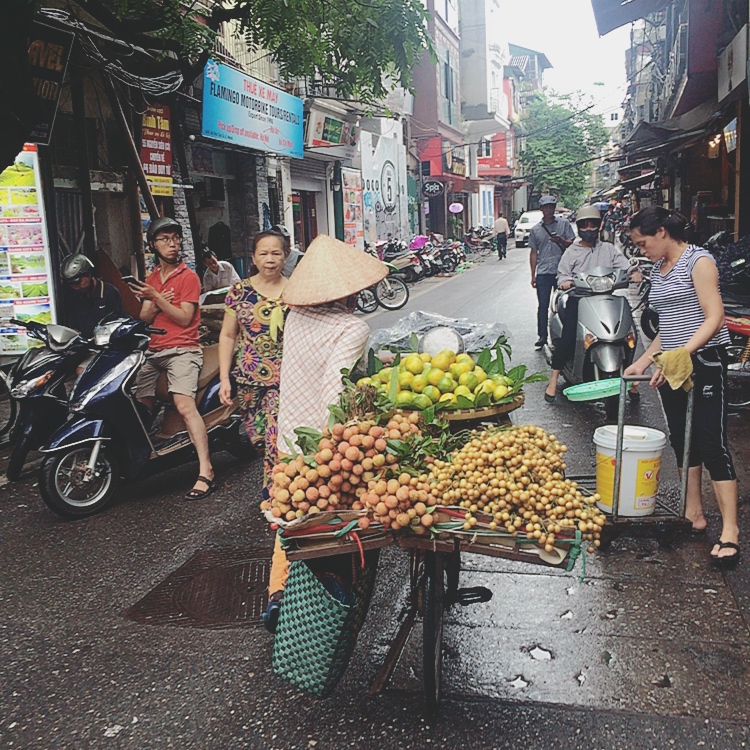 越南自助遊攻略