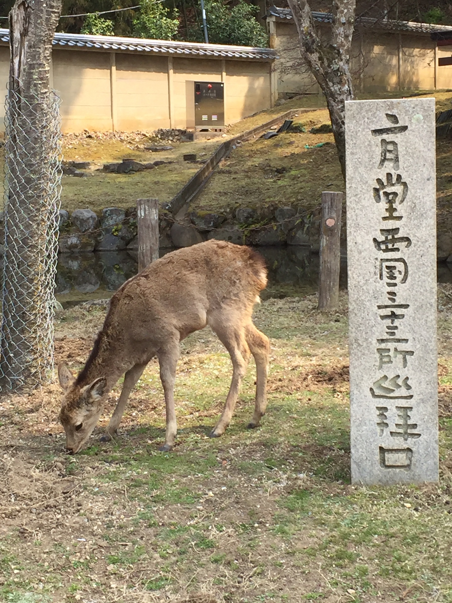 東京自助遊攻略