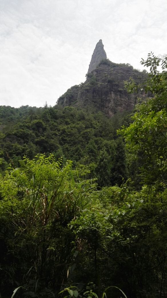 仙居有多少人口多少_仙居门票多少