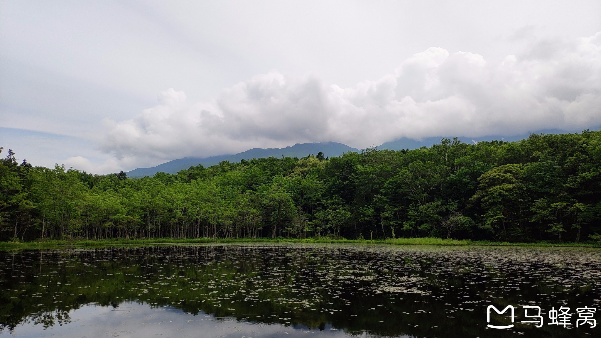 北海道自助遊攻略