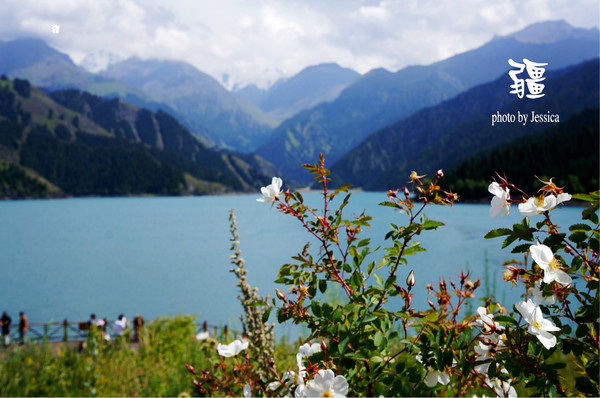 wKgBZ1h2-9mAWIDrAAF2V24W2dU90.jpeg?imageView2%2F2%2Fw%2F510%2Fh%2F8000%2Fq%2F100