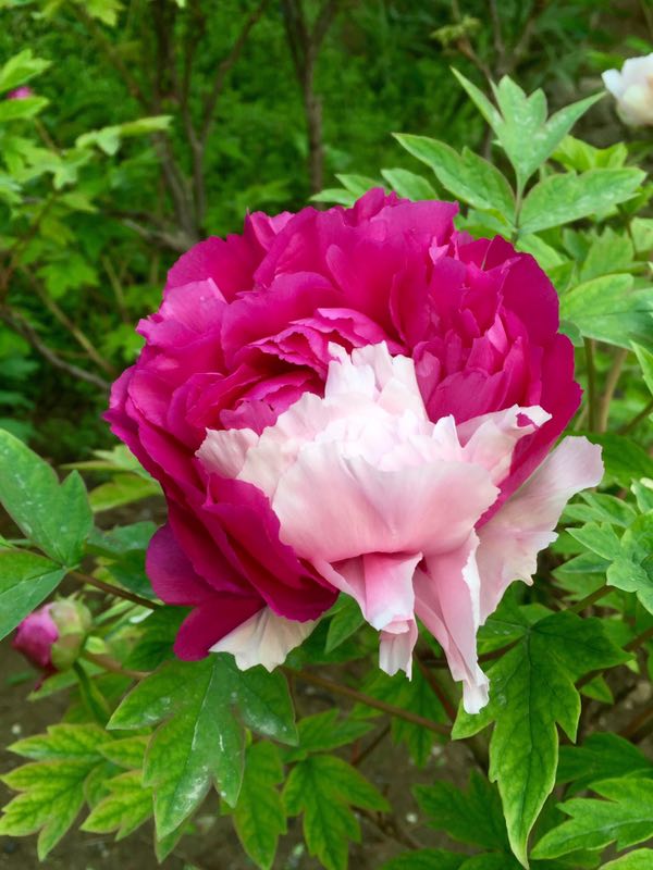 wKgBZ1jwbb-ADGzBAAEvDJIfRos17.jpeg?imageView2%2F2%2Fw%2F680%2Fq%2F90