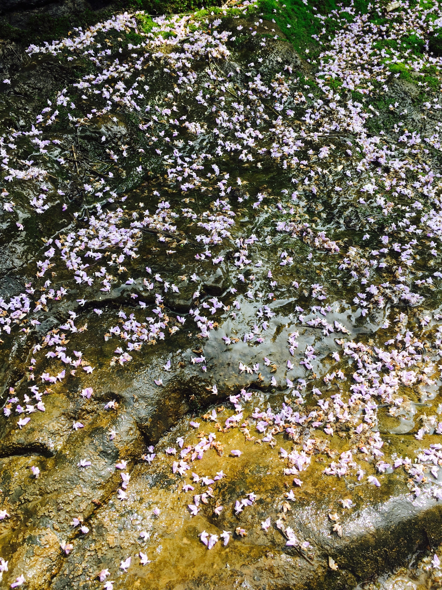 浆水泉--藏龙涧--一线天穿越记