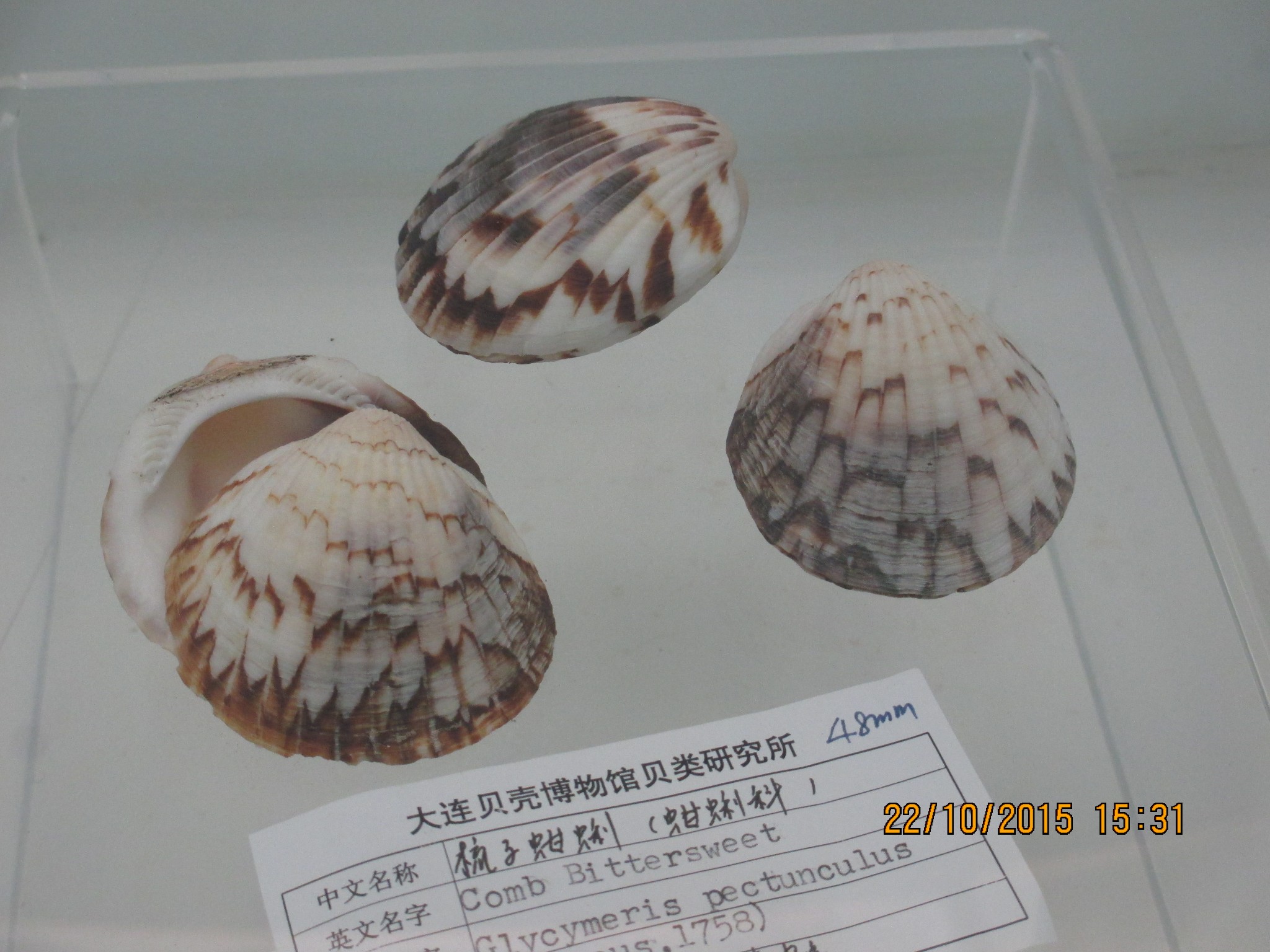 wKgBZ1ni_9yAE2xOAAfdfcjn7zc69.jpeg?imageView2%2F2%2Fw%2F680%2Fq%2F90