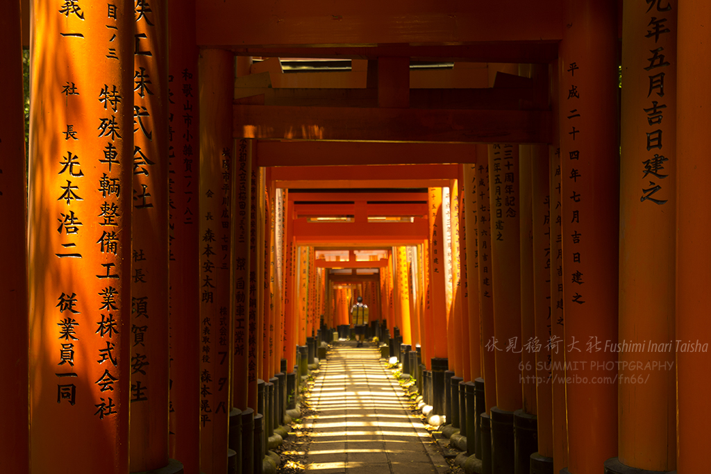 京都自助遊攻略