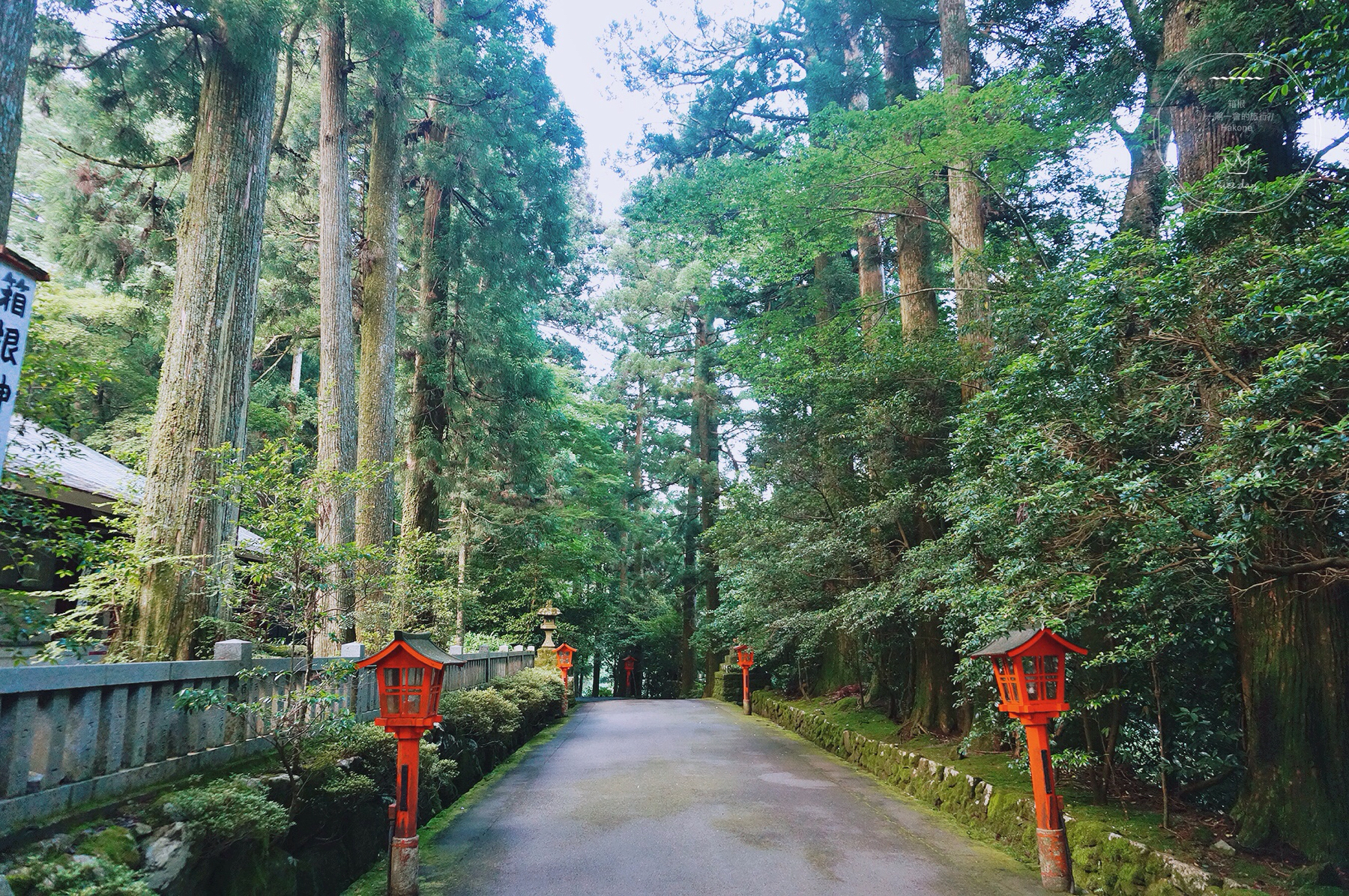 箱根自助遊攻略