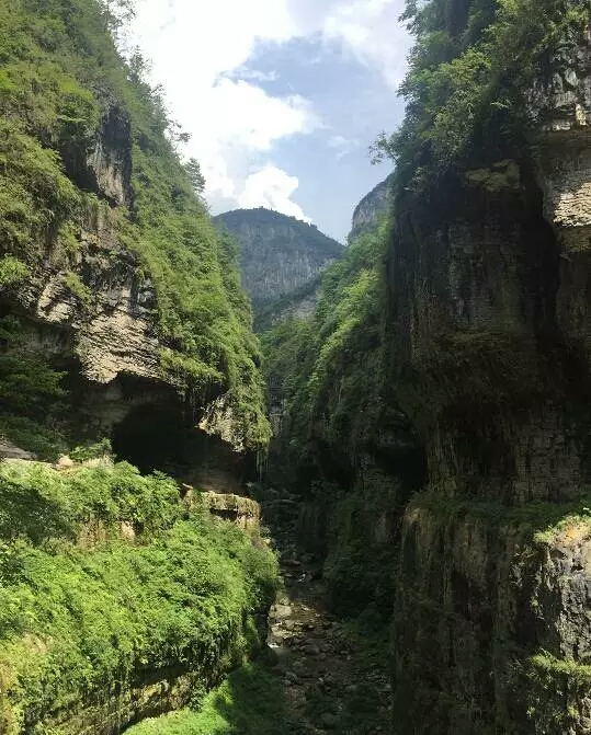 wKgBZ1naScmAf408AATq1DXN1Vg46.jpeg?imageView2%2F2%2Fw%2F600%2Fh%2F600%2Fq%2F90