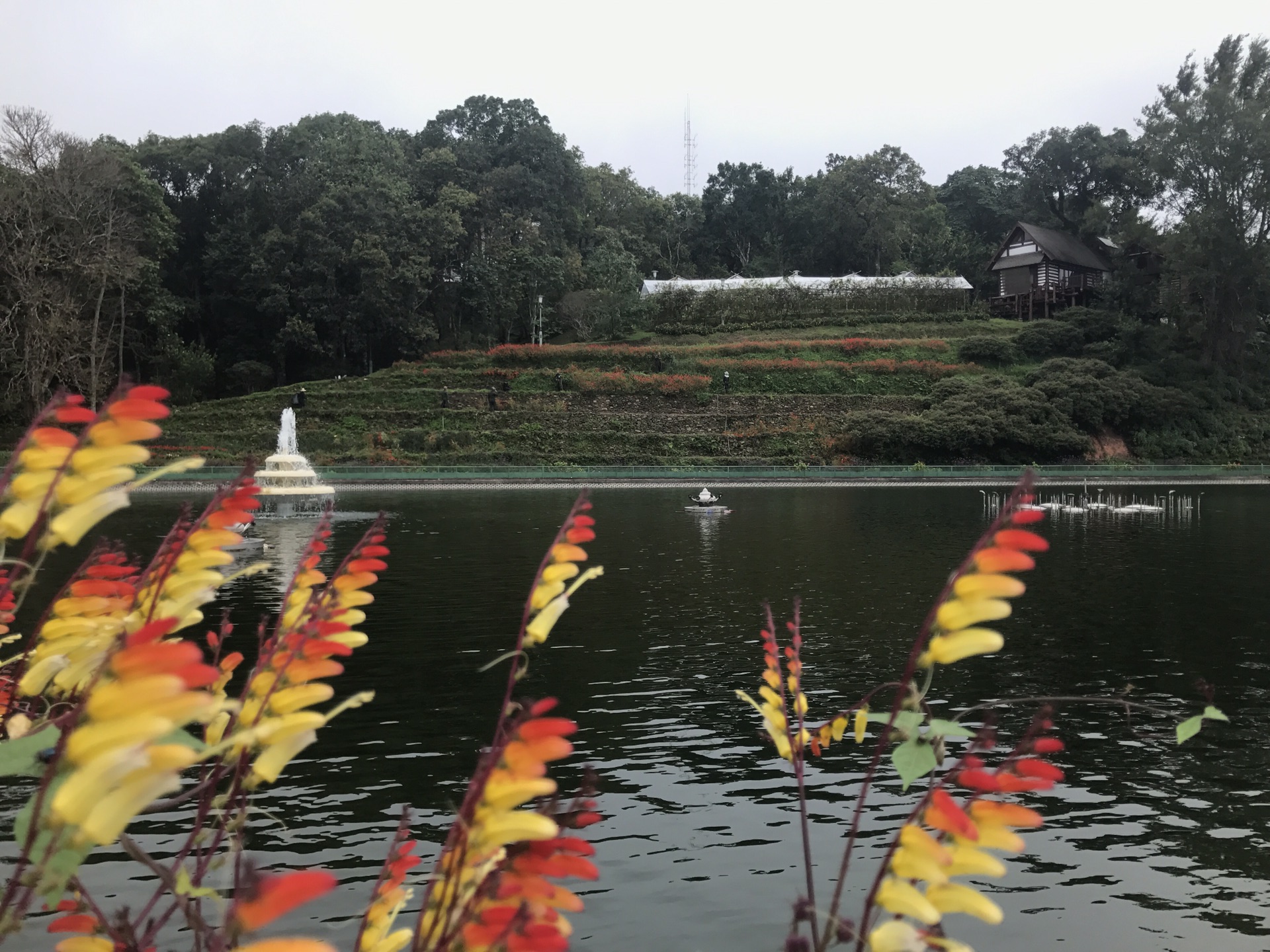 华西村人均收入_人均6000吃什么(2)