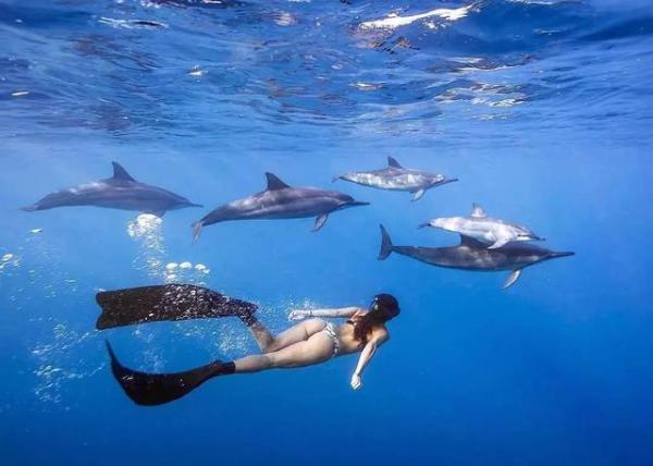 什么叫悬浮什么叫漂浮 wKgBZ1nEsu6ABl5gAACZTdatoQE95.jpeg?imageView2%2F2%2Fw%2F600%2Fh%2F600%2Fq%2F90