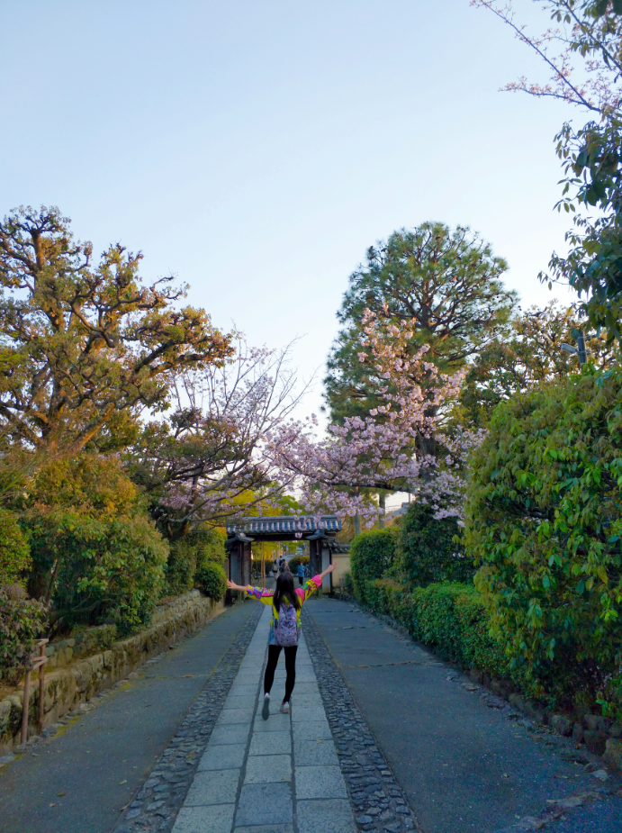 京都自助遊攻略