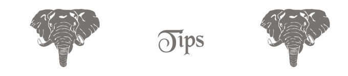 出发前の小贴士 出发前の小贴士
