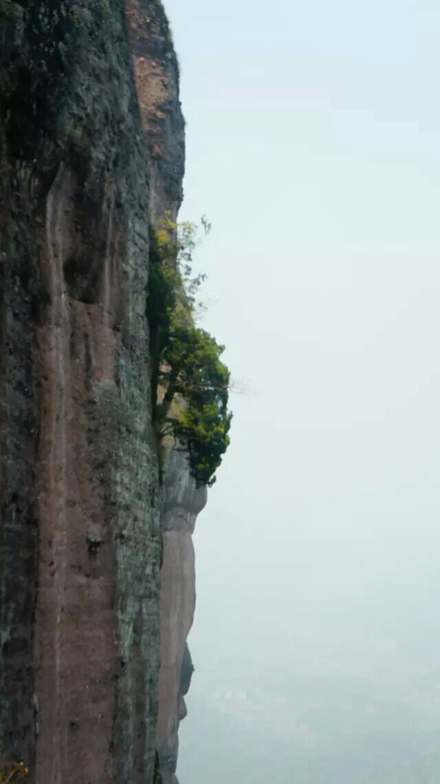 wKgBZ1l5XZaAJWfoAAMGyq-2j9A64.jpeg?imageView2%2F2%2Fw%2F680%2Fq%2F90%7CimageMogr2%2Fstrip%2Fquality%2F90