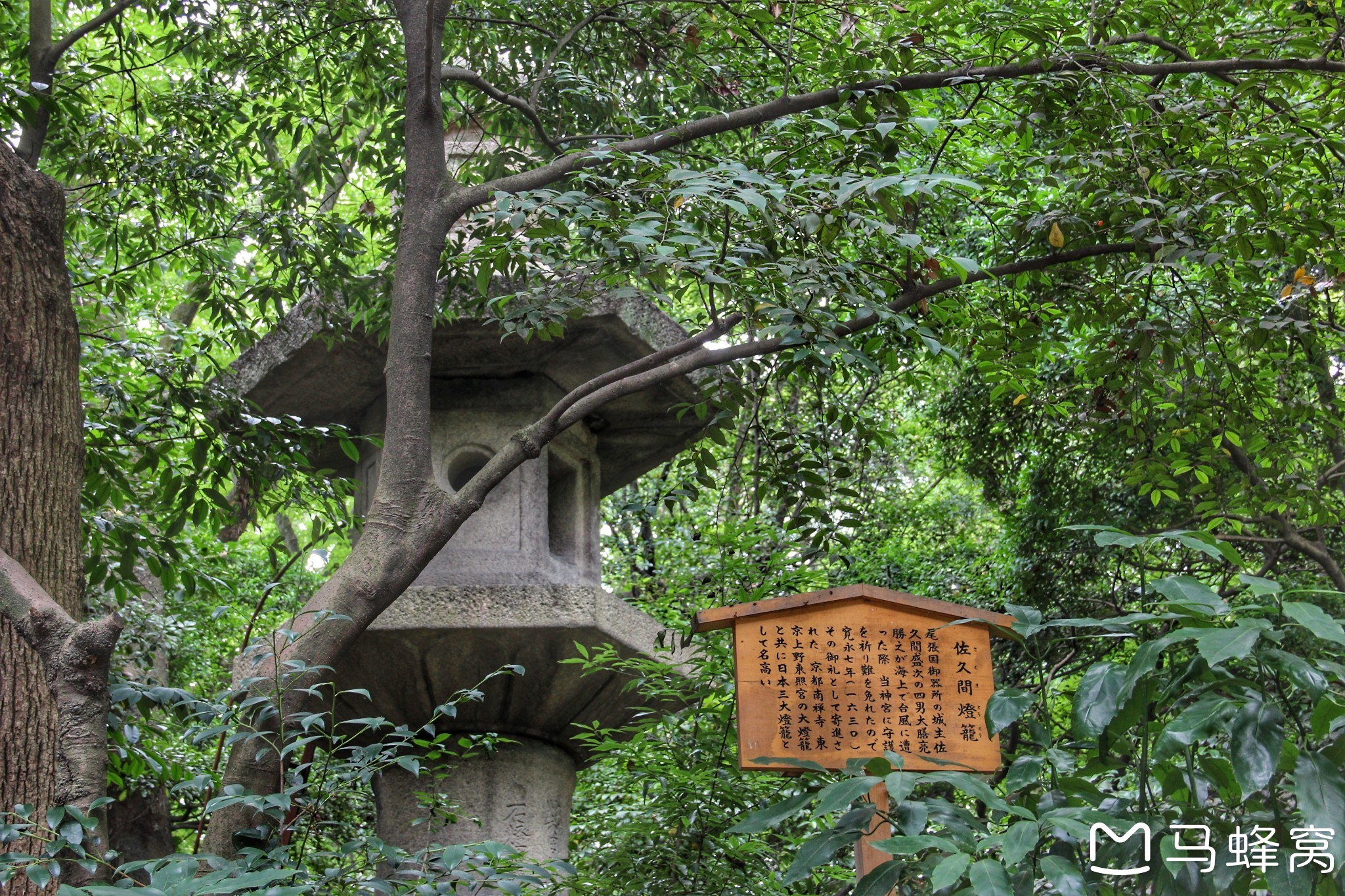 名古屋自助遊攻略