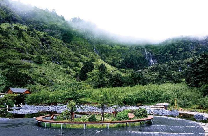 清明踏春 昆明轎子雪山純玩一日遊(煙花夢染·漫山杜鵑 週二/四/六發