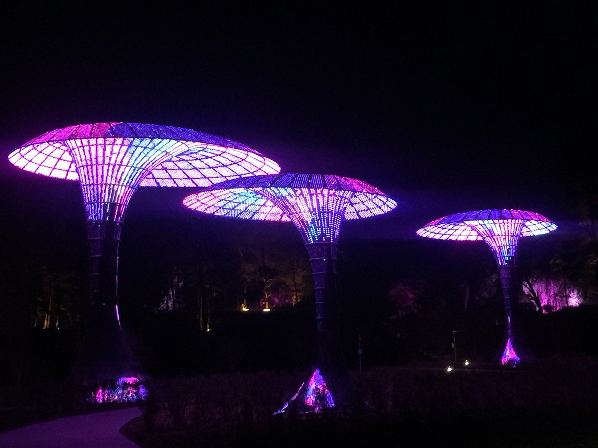 wKgBEFrXIdCAQEBYAAcKrDIBpLw26.jpeg?imageView2%2F2%2Fw%2F600%2Fh%2F600%2Fq%2F90