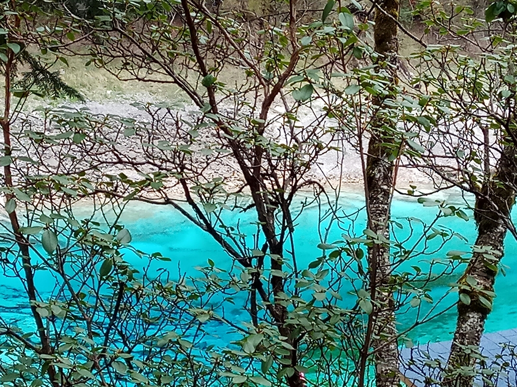 成都cago人均消费多少_成都地铁(2)