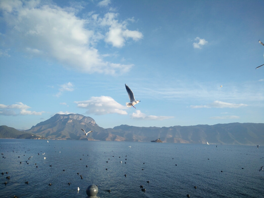 wKgBEFqRfjCAS3NFAAf5rVKd5-I63.jpeg?imageView2%2F2%2Fw%2F680%2Fq%2F90%7CimageMogr2%2Fstrip%2Fquality%2F90