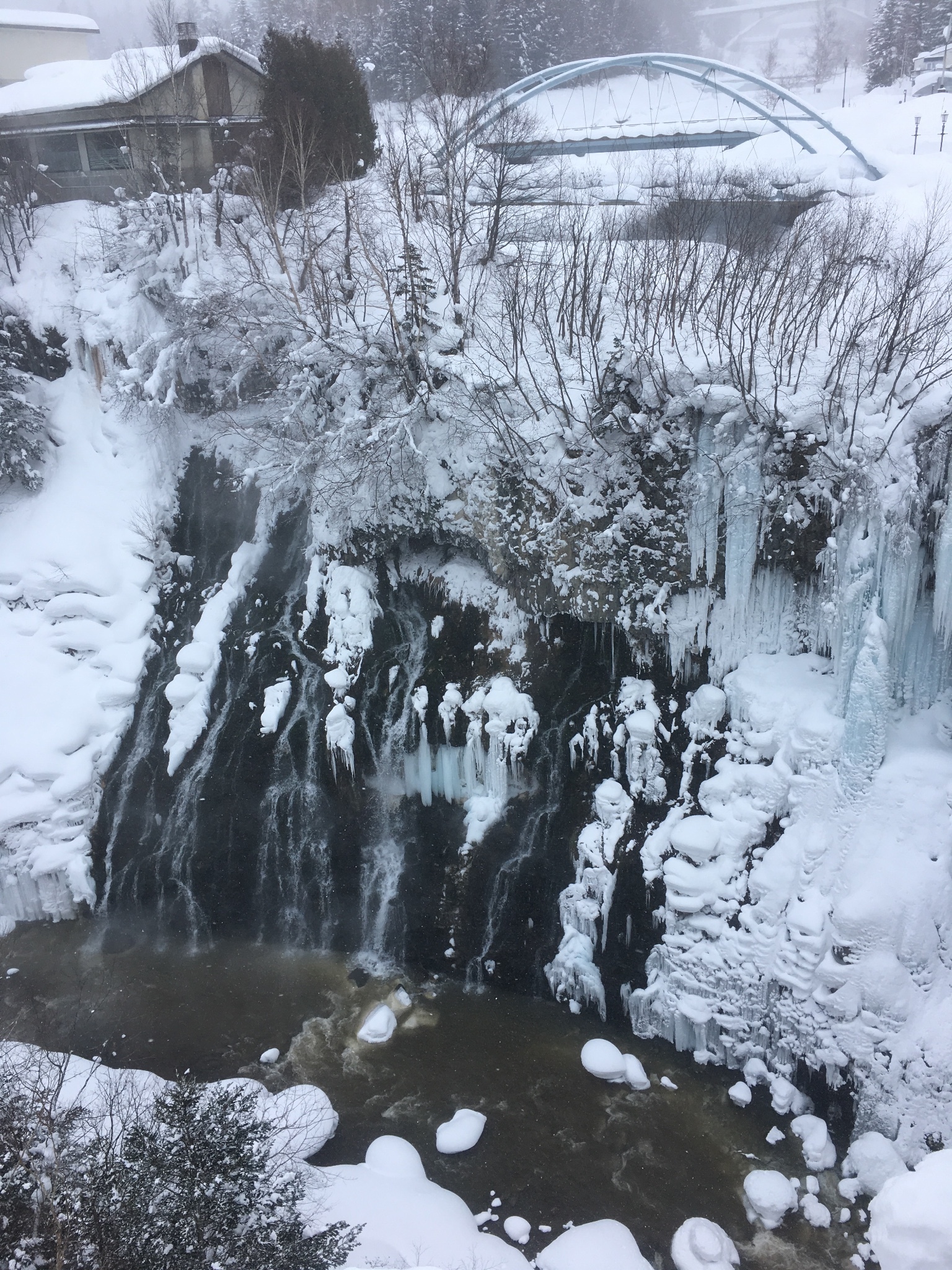 北海道自助遊攻略