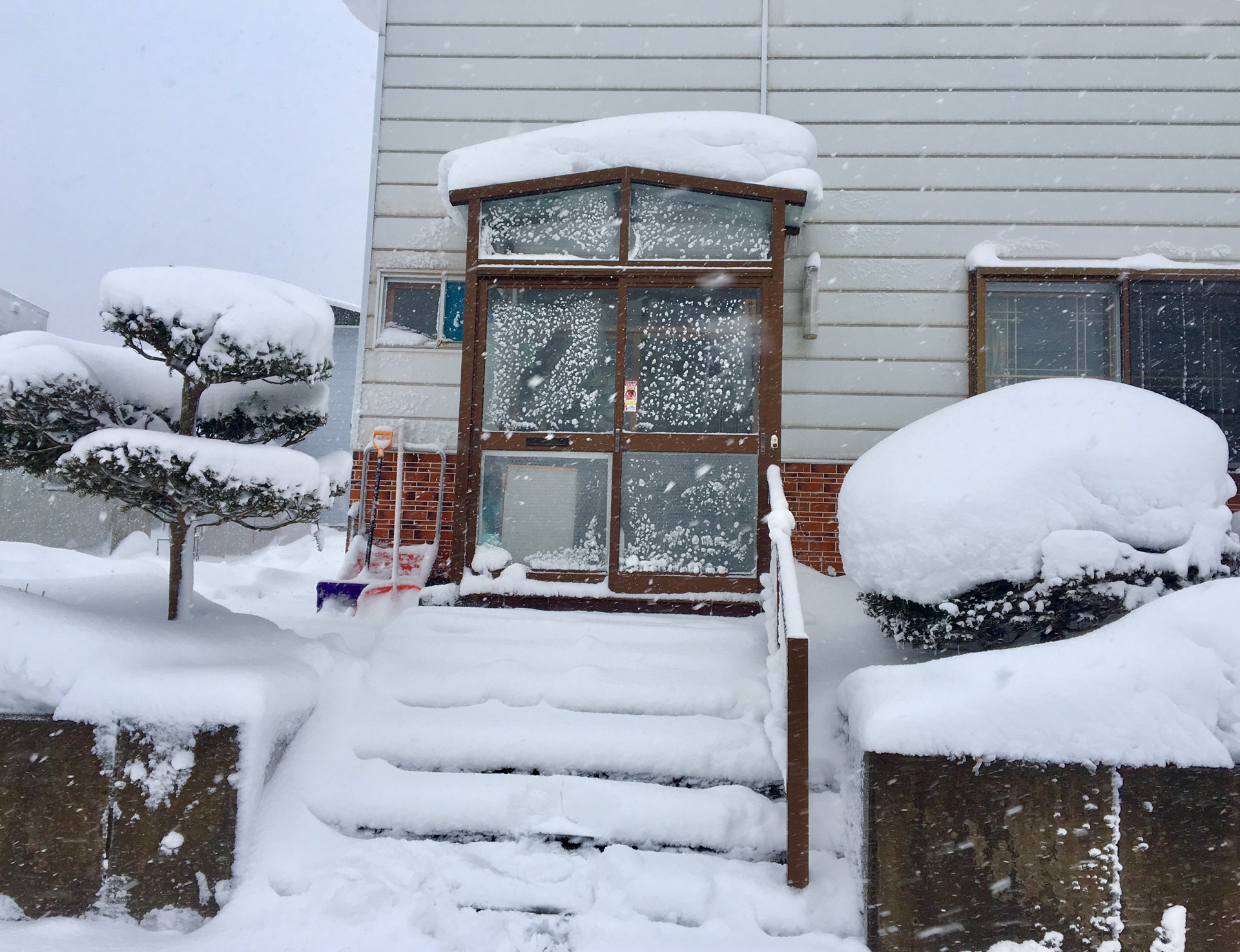 北海道自助遊攻略