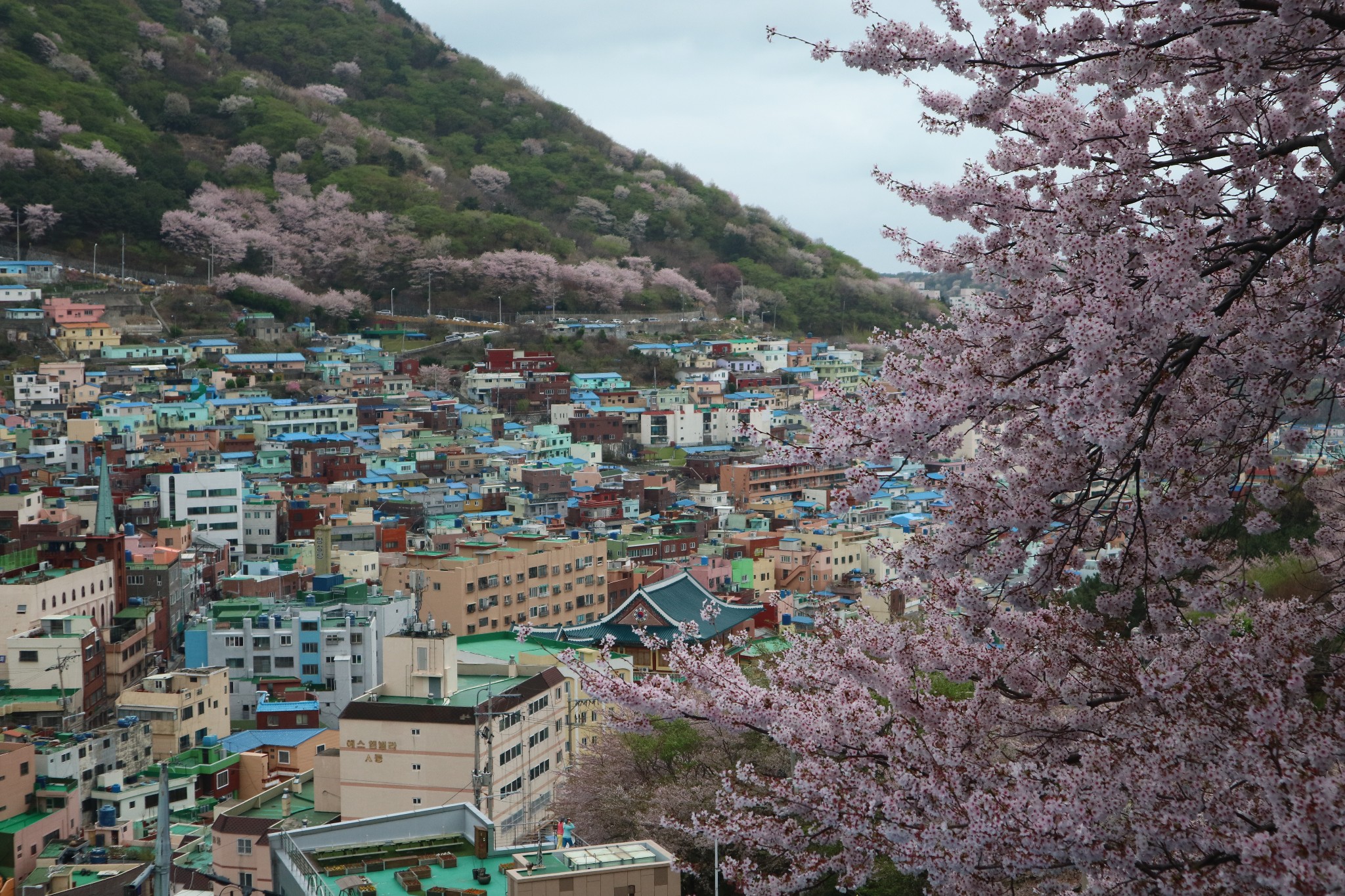 釜山自助遊攻略