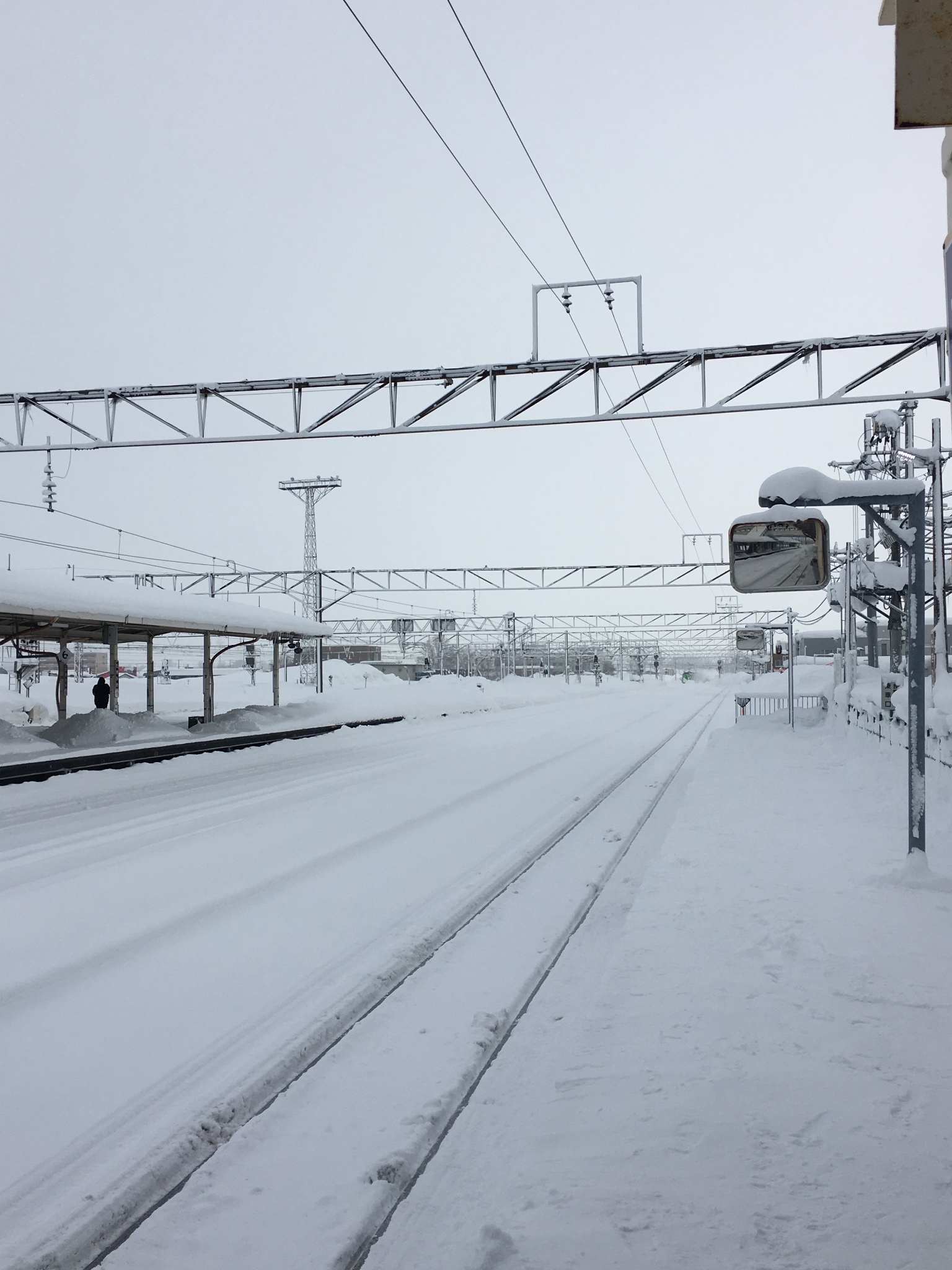 北海道自助遊攻略