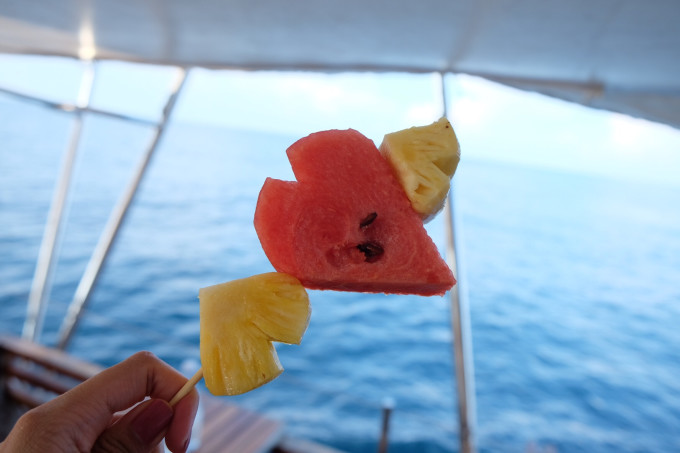 梦境迷踪,灰色野兔的意外造访——探索遗忘的梦境与潜意识对话 梦境迷踪,灰色野兔的意外造访——探索遗忘的梦境与潜意识对话