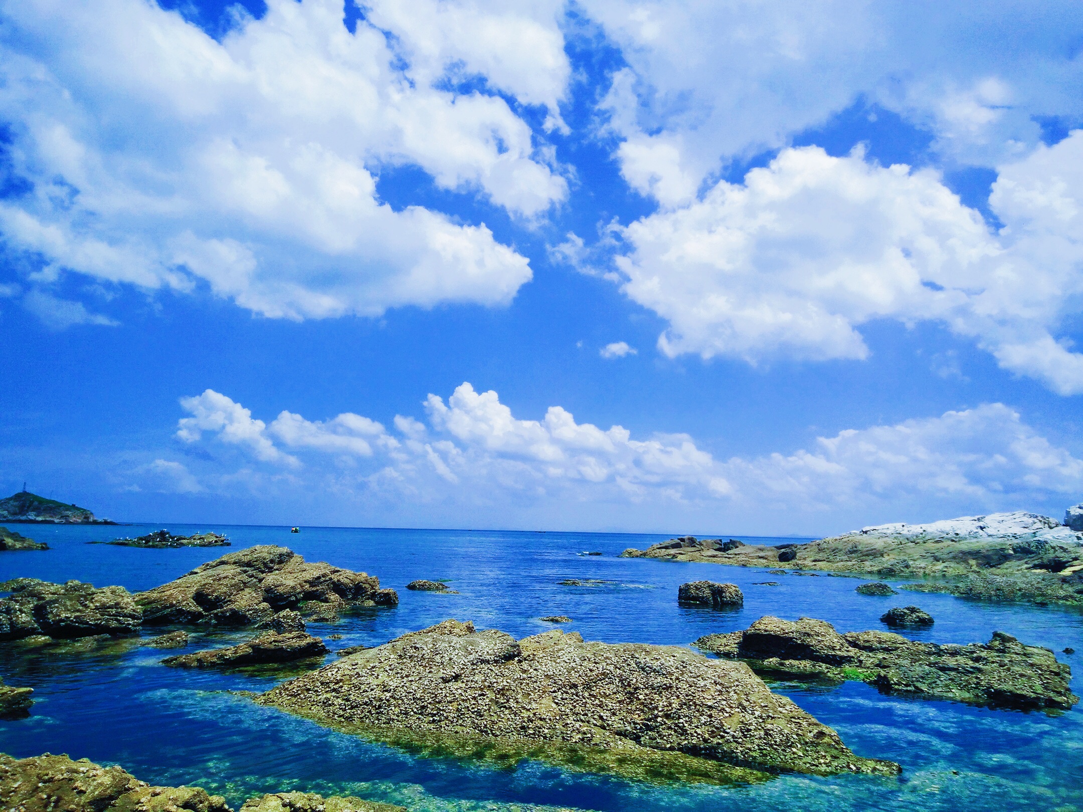 去烟台养马岛坐几路车烟台养马岛交通信息