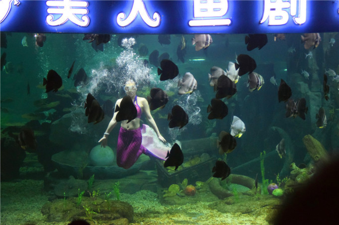 世界著名的海洋主题公园 wKgBEFscmVyAcyZUAANQzvp6DtM33.jpeg?imageView2%2F2%2Fw%2F680%2Fq%2F90%7CimageMogr2%2Fstrip%2Fquality%2F90