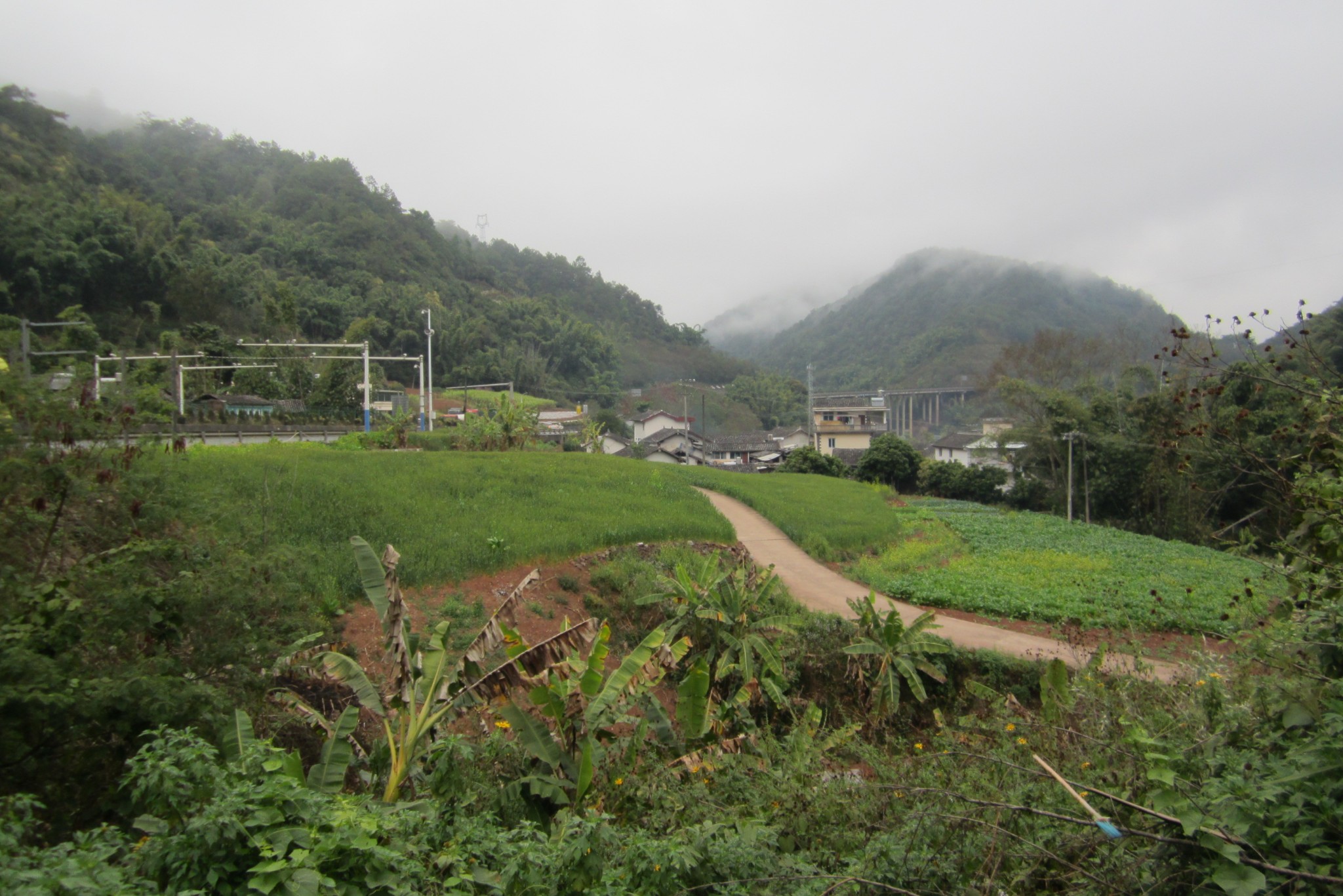 清邁自助遊攻略