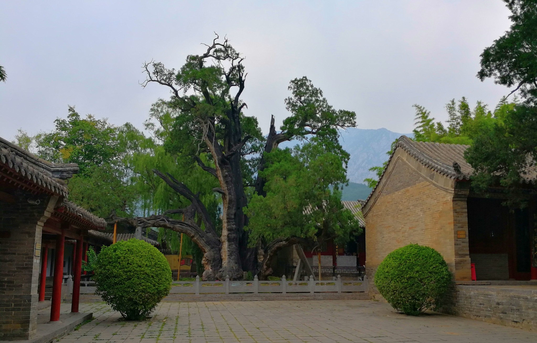 嵩山自助遊攻略