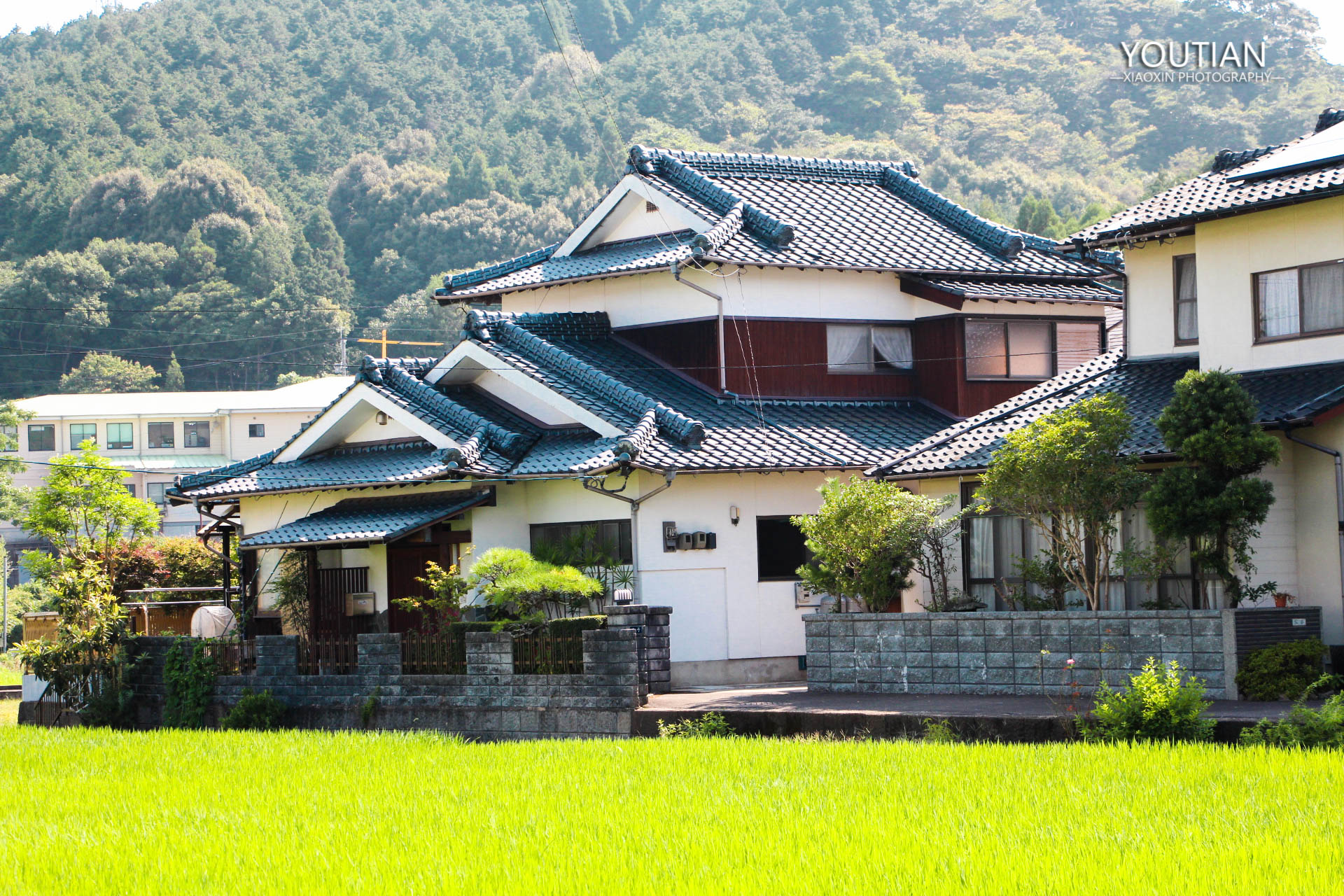 景德鎮自助遊攻略