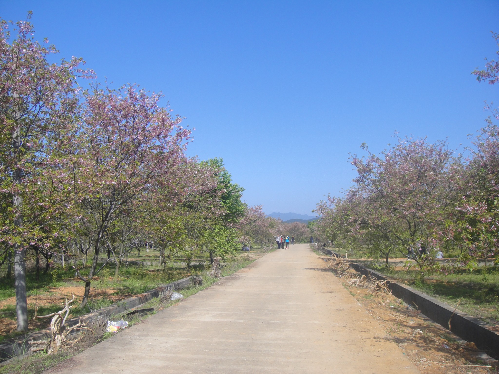 韶关浈江区人口_韶关浈江区昨天