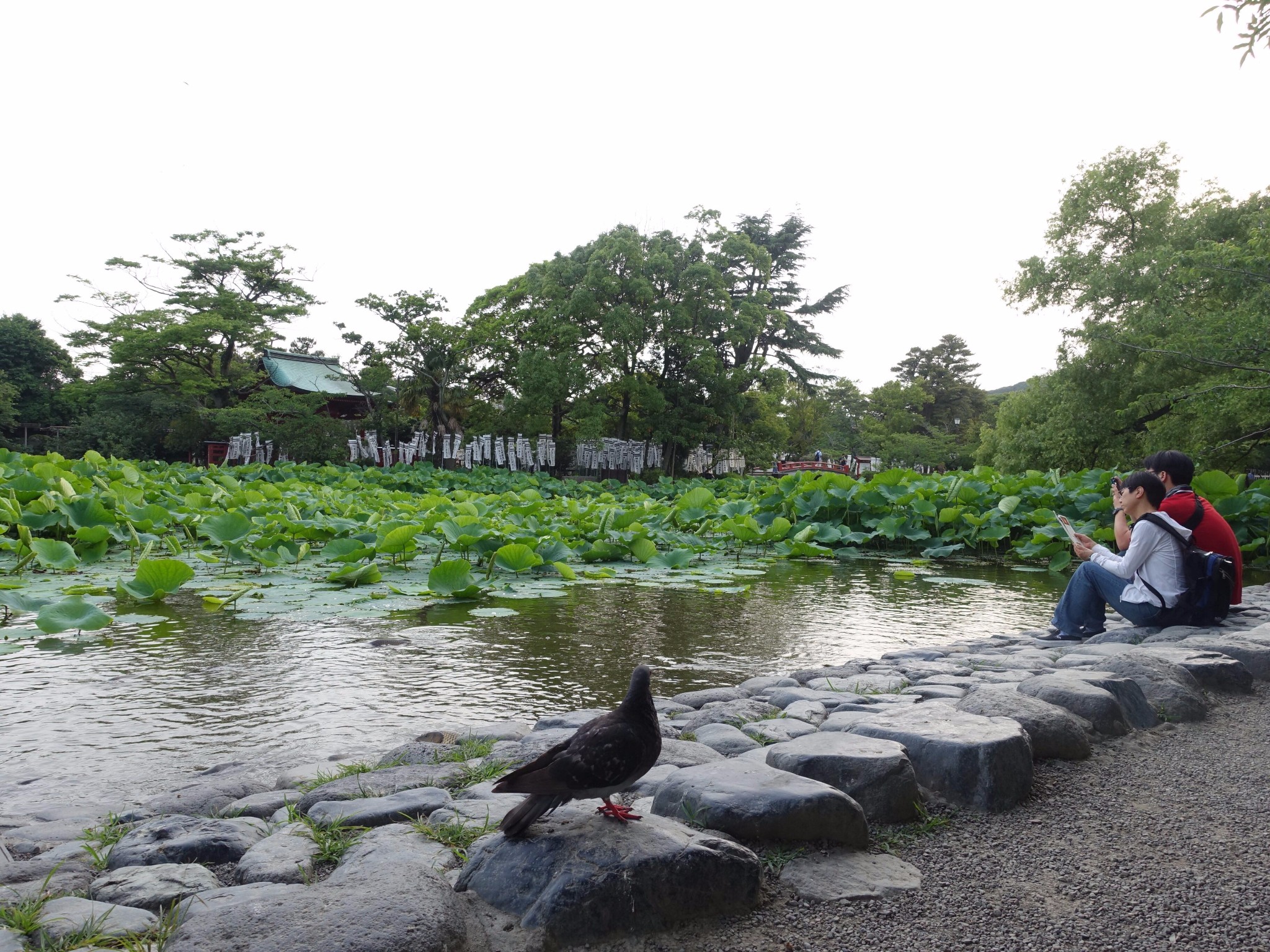 東京自助遊攻略