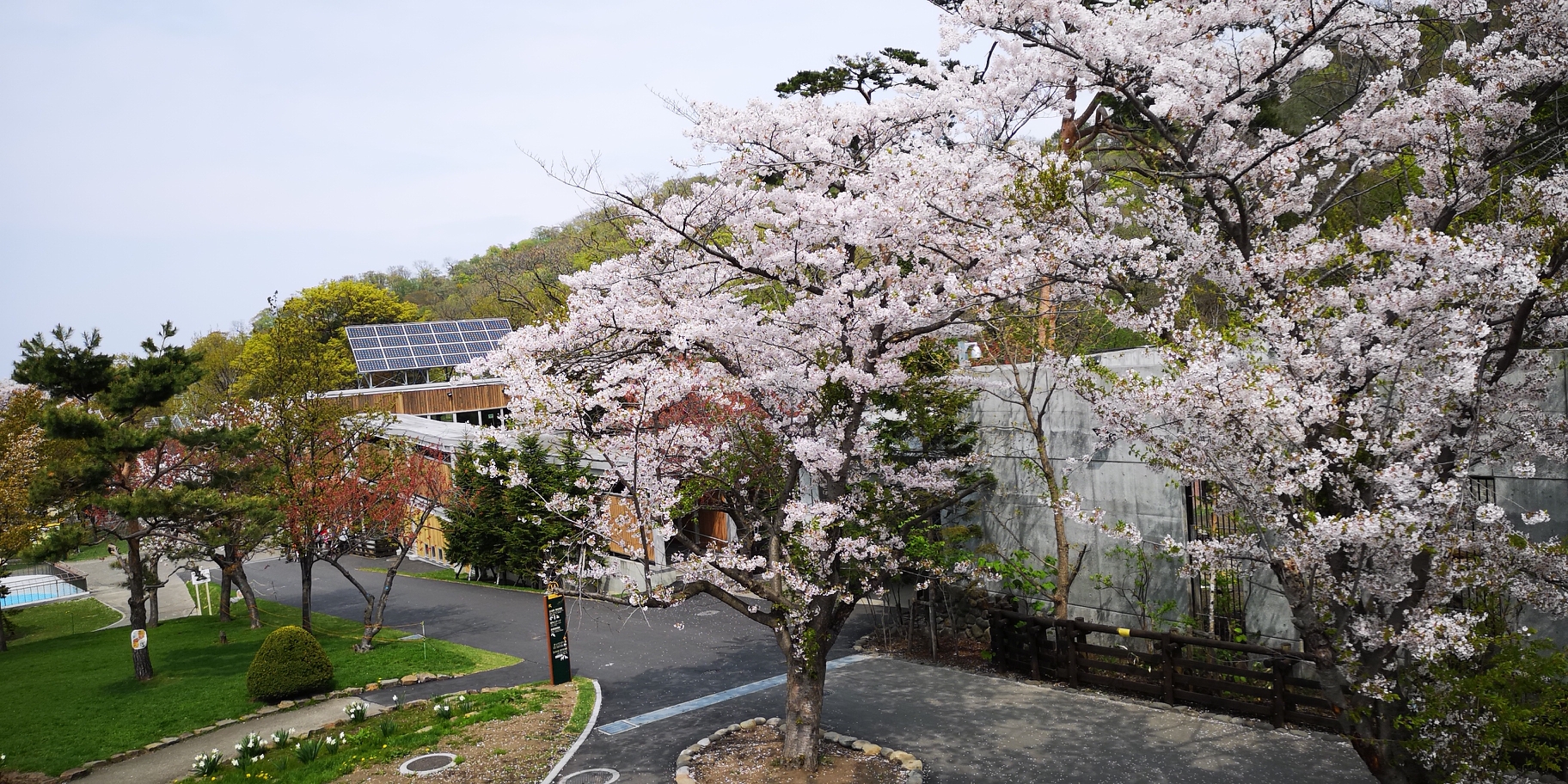 札幌自助遊攻略