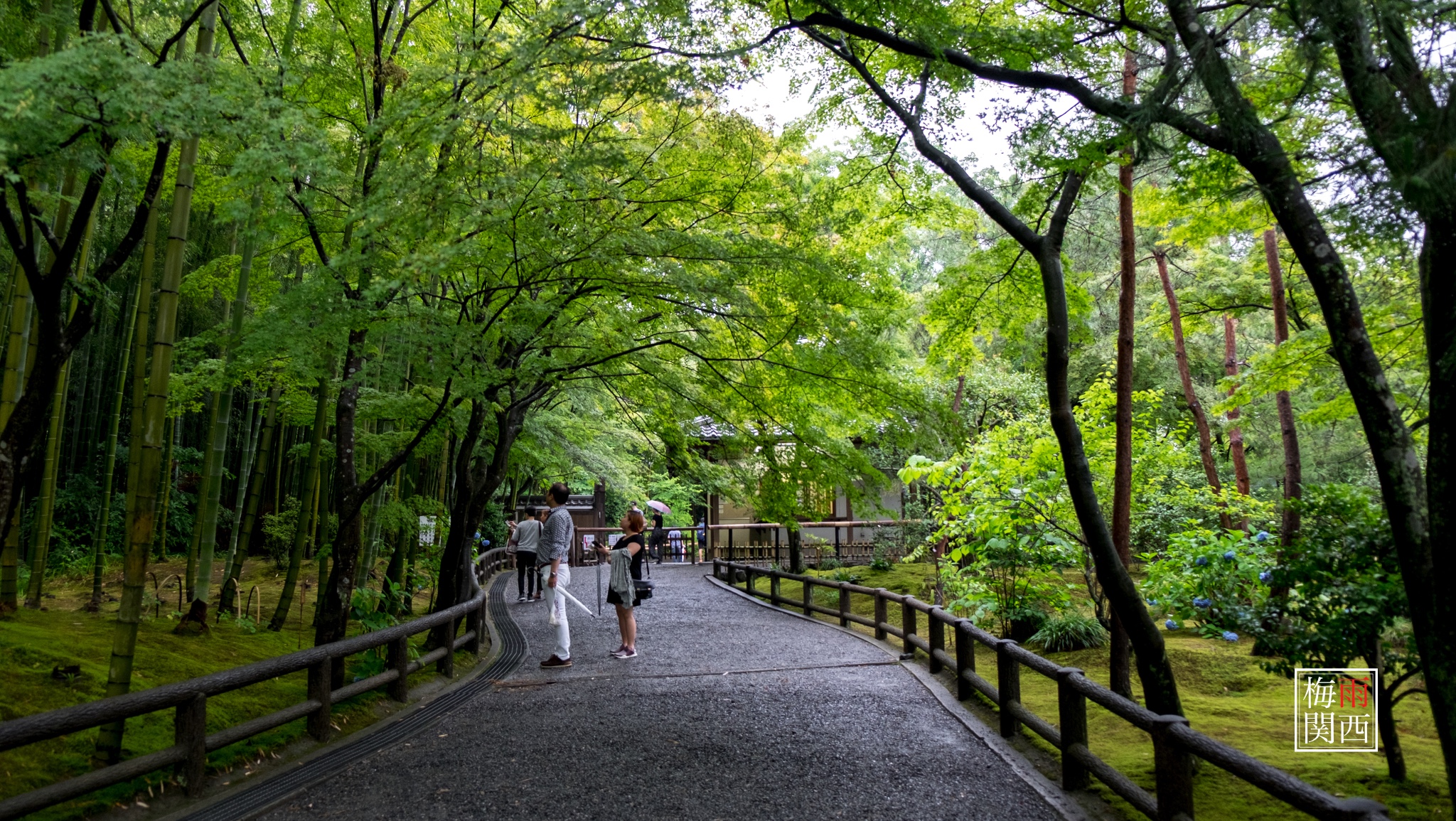 京都自助遊攻略