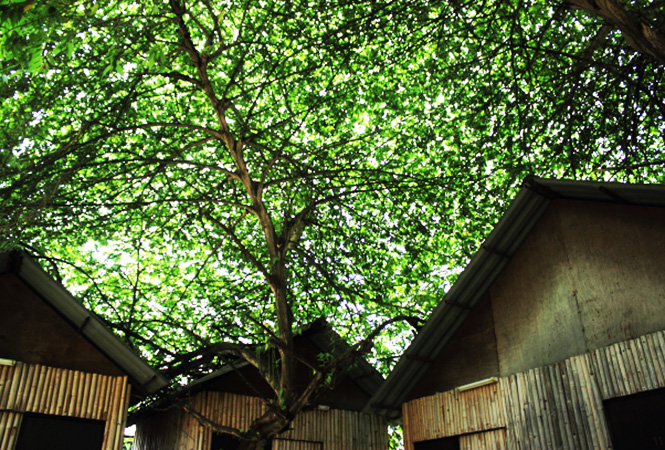 谁此刻没有房屋，就不必建造