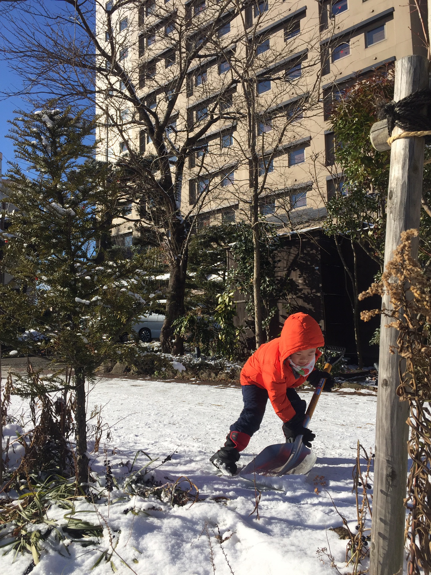 名古屋自助遊攻略