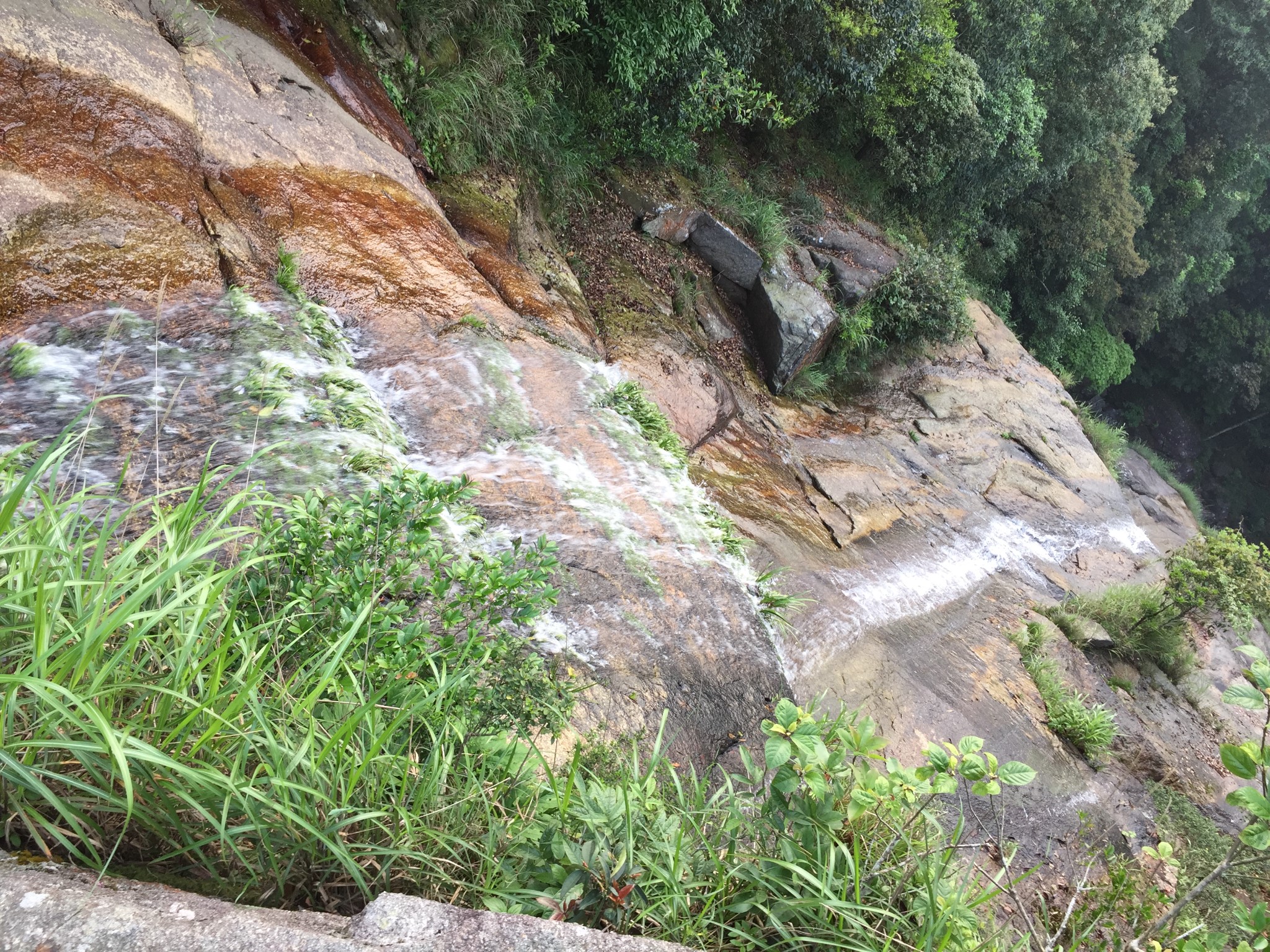 wKgBEFtHuWSANgG8ABWtokcLkoo18.jpeg?imageView2%2F2%2Fw%2F680%2Fq%2F90%7CimageMogr2%2Fstrip%2Fquality%2F90