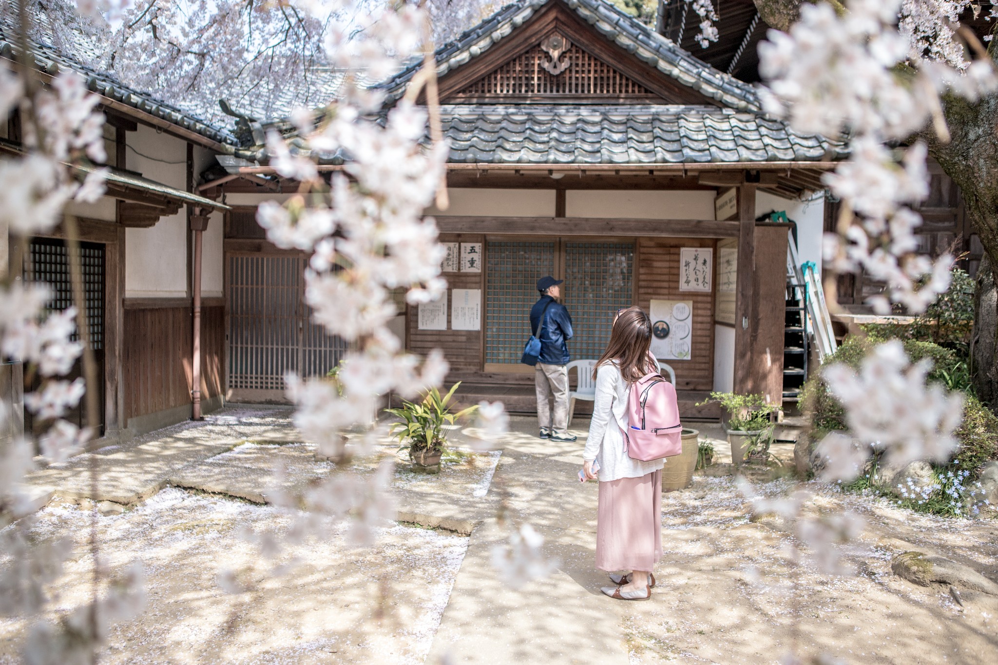 和歌山市自助遊攻略