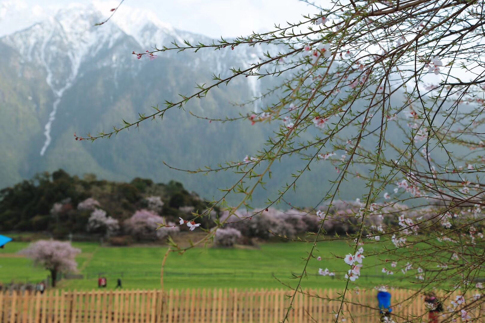 套木嘎人口_凉山兵王阿希姆木嘎(2)