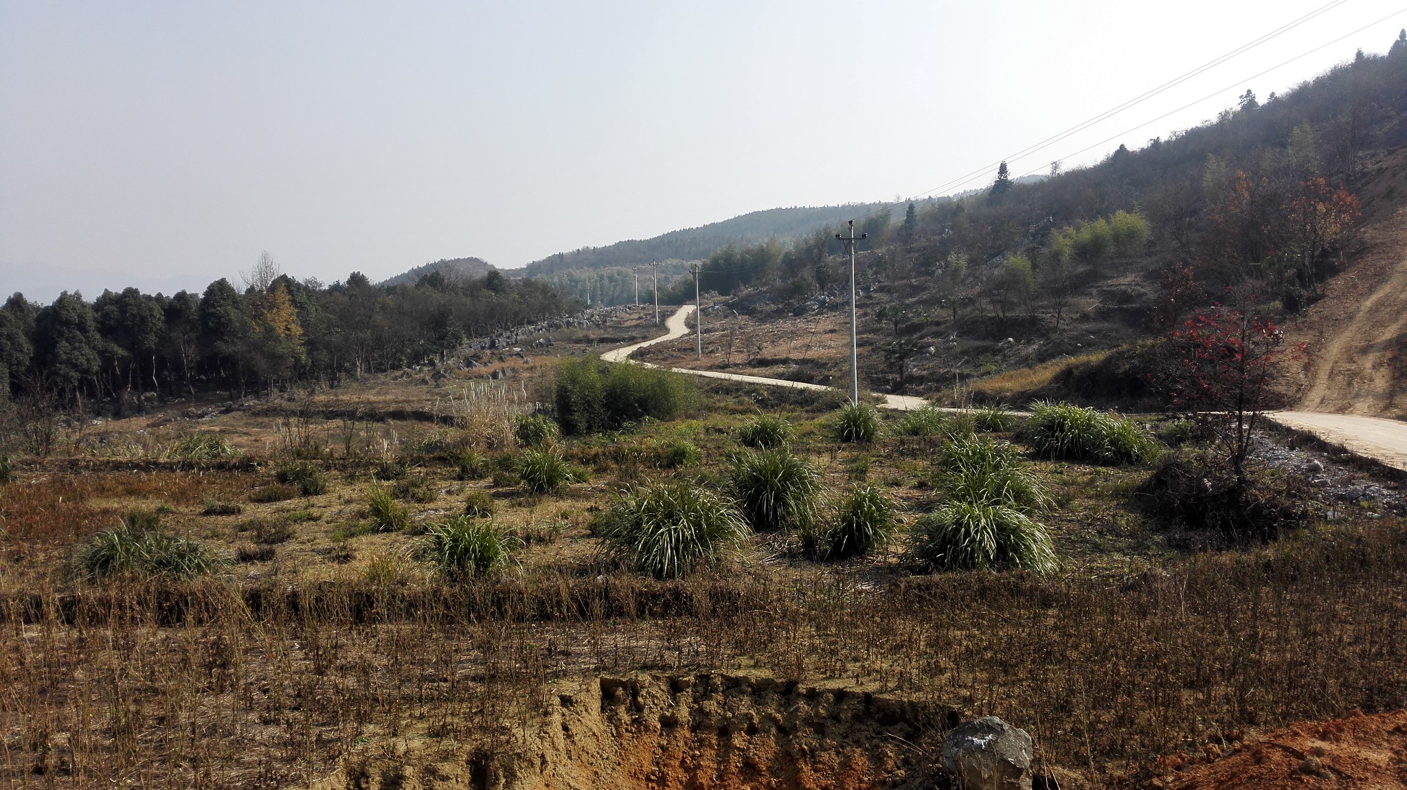 馨香园到金山镇搭岭村怎么走_东平湖金山坝怎么走