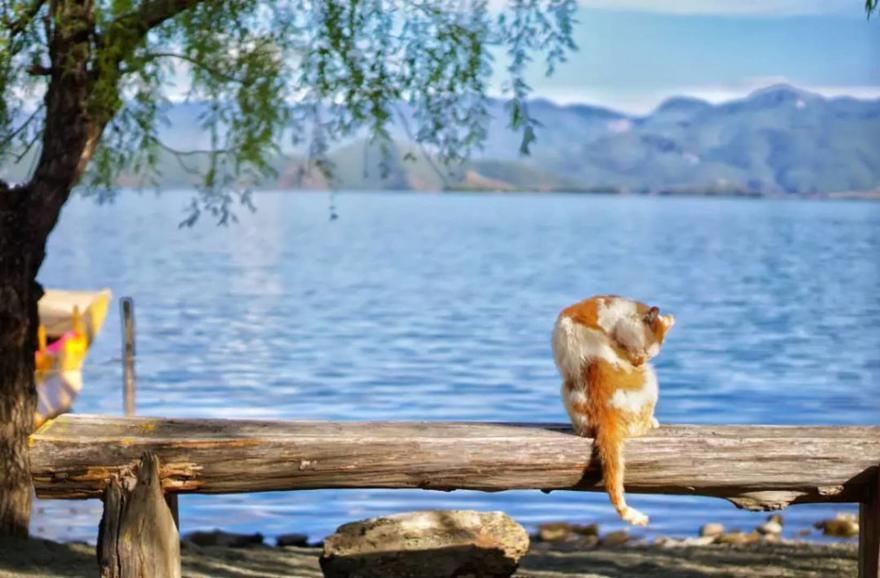 wKgBEFtSk7OALjLrAAEKZ4y90NE93.jpeg?imageView2%2F2%2Fw%2F600%2Fh%2F600%2Fq%2F90