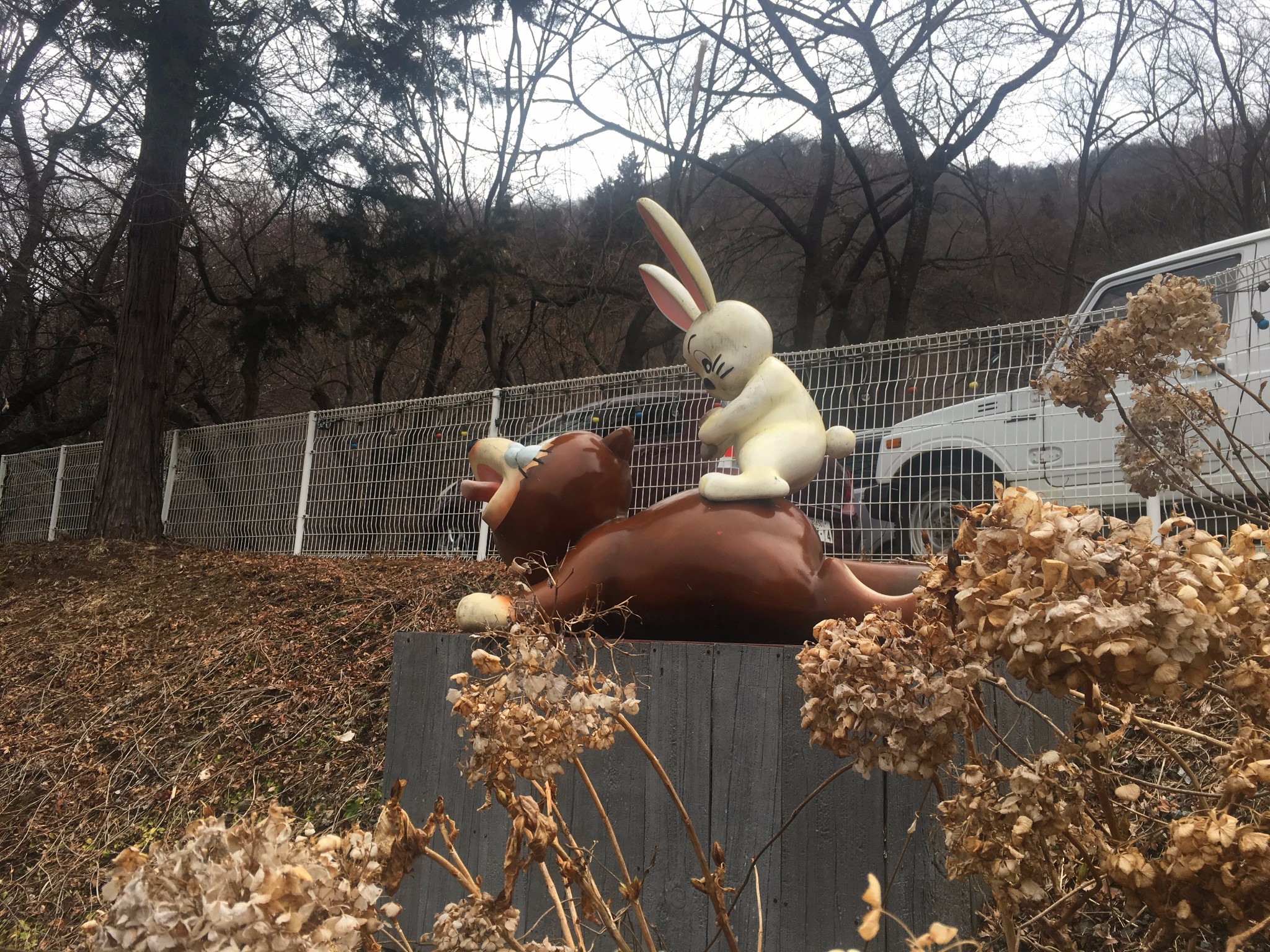 富士山自助遊攻略