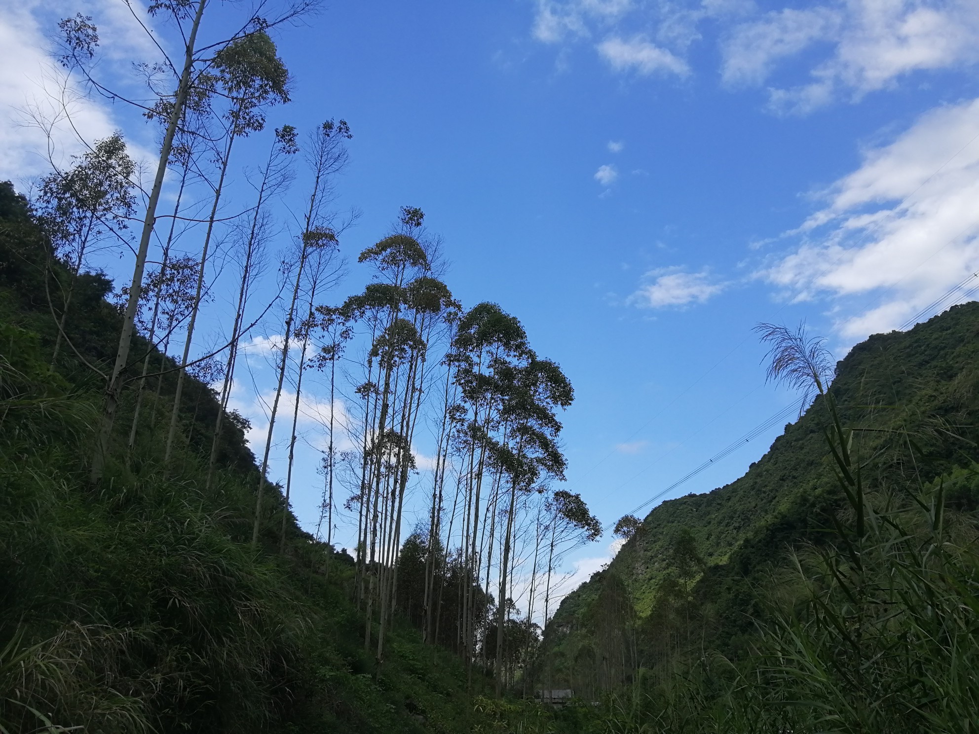 吴川市流滩村有多少人口_吴川市塘尾街道边坡村(2)