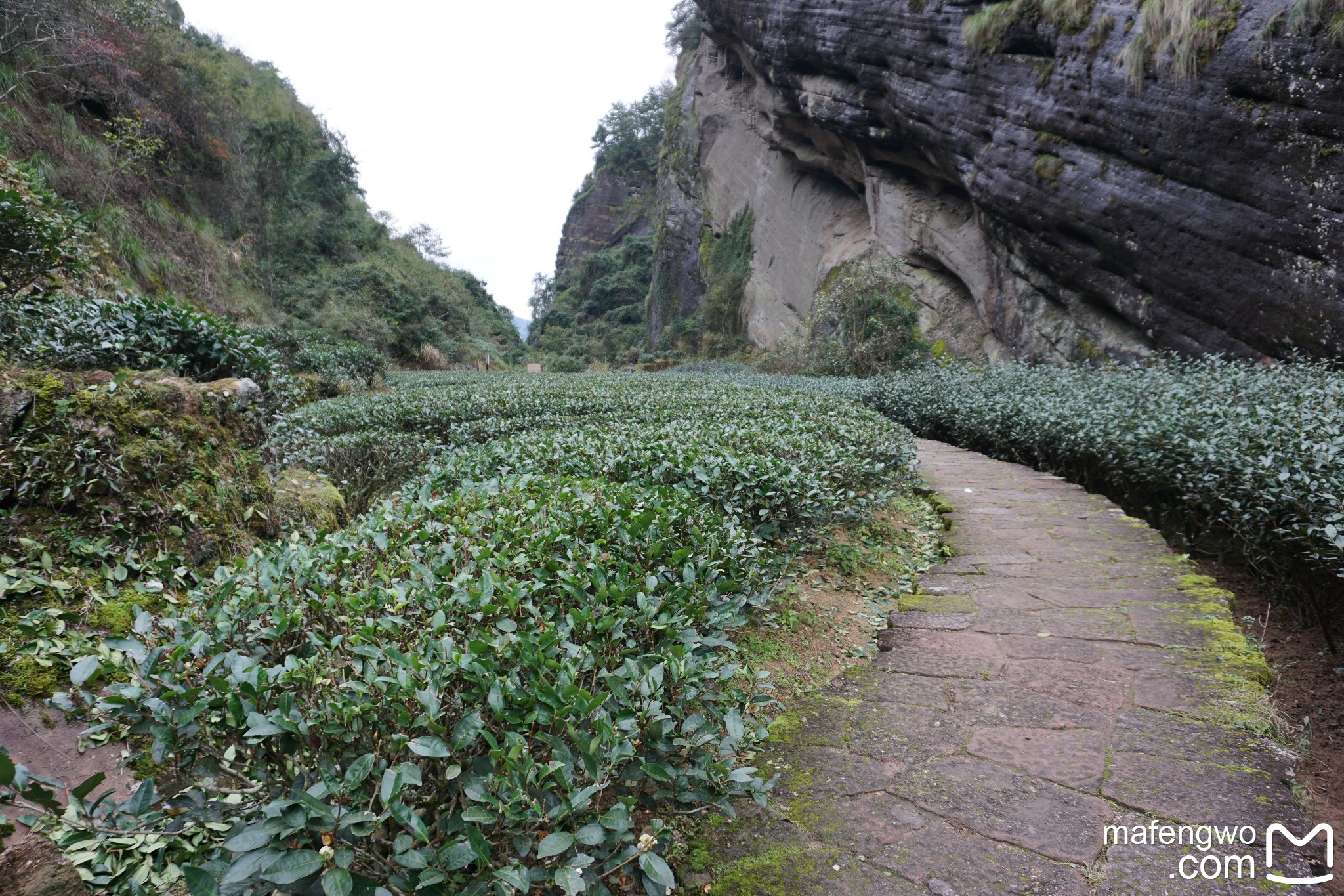 武夷山自助遊攻略