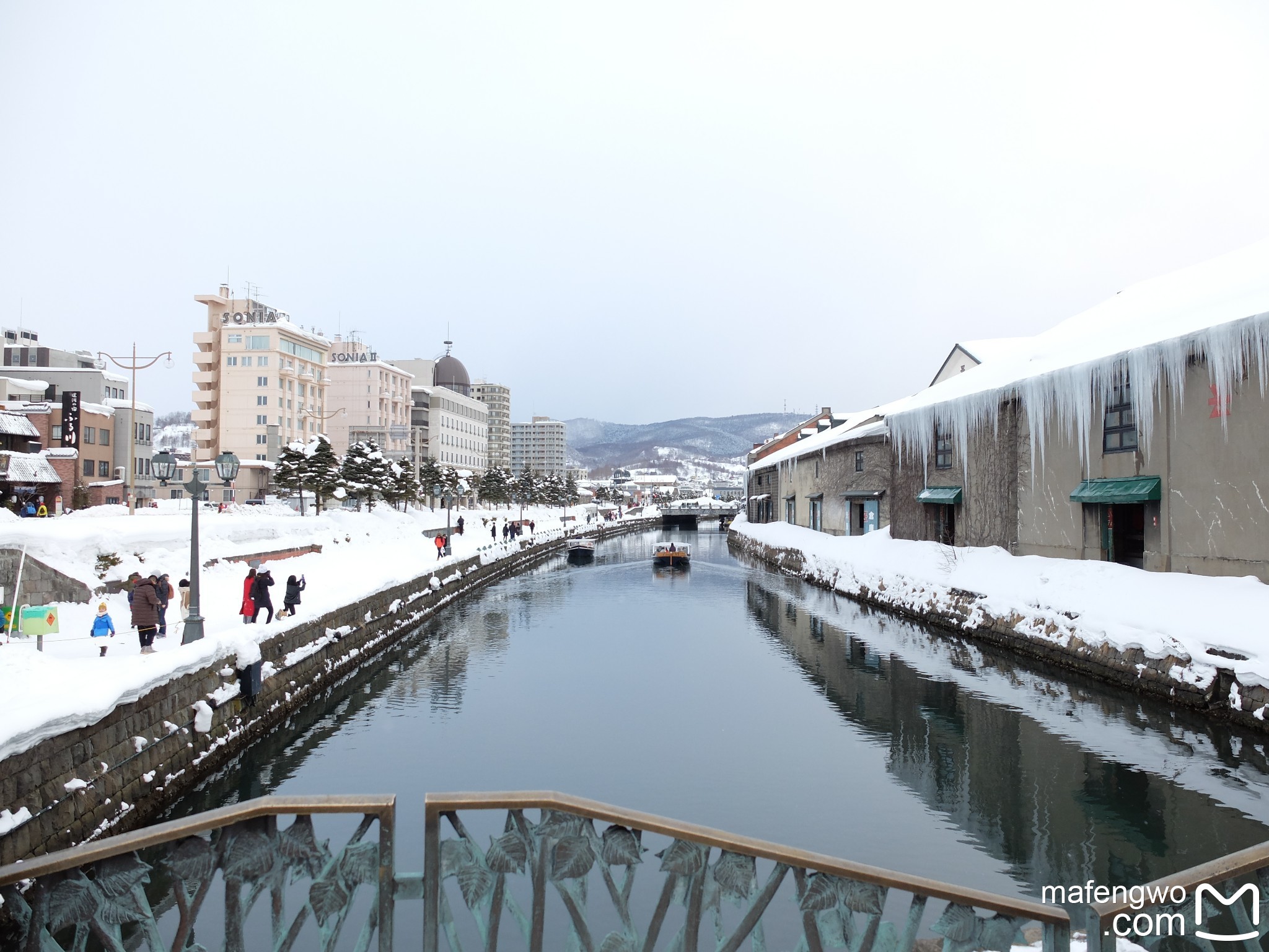 北海道自助遊攻略